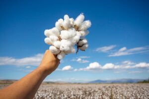 cotton better for summer