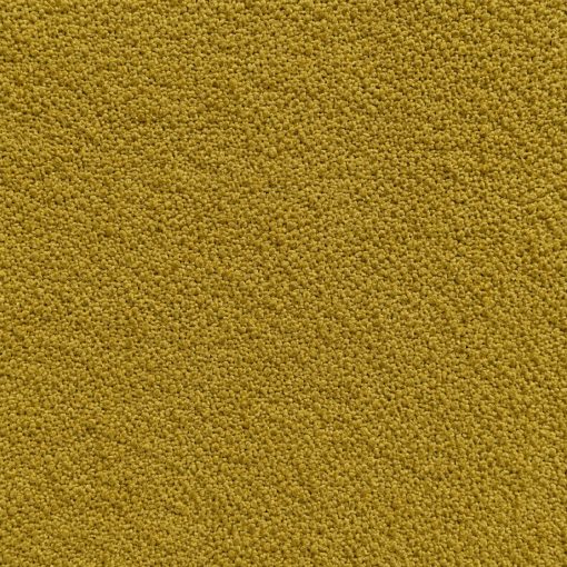 Mustard_Gold(66686-016)