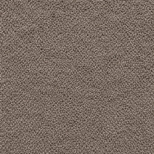 Warm_Taupe_ Gray(66686-013)